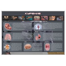 Стенд "Курение"