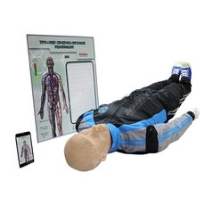 Тренажер для обучения навыкам сердечно-легочной реанимации "Олег-1.02" с анатомическим табло