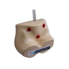 Тренажер постановки клизм и ухода за стомами