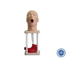 Тренажер зондирования и промывания желудка человека