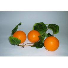 Ветка муляжей "Апельсины"
