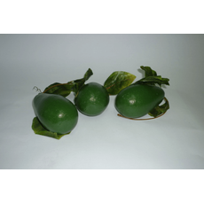 Ветка муляжей "Авокадо"