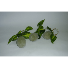 Ветка муляжей "Киви"