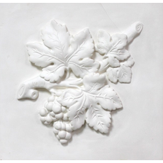 Ветка винограда