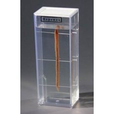 Влажный препарат "Нереида"