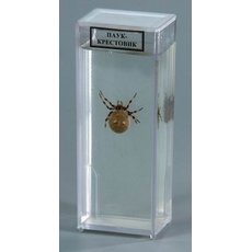 Влажный препарат "Паук"