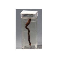 Влажный препарат "Пескожил"