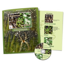 Водоросли. Мхи. Цветковые