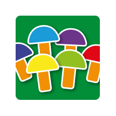 «Знакомство с цветом»