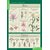 Комплект таблиц "Биология 6 класс Растения, грибы, лишайники" (14 шт.)