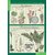Комплект таблиц "Биология 6 класс Растения, грибы, лишайники" (14 шт.)