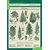 Комплект таблиц "Биология 6 класс Растения, грибы, лишайники" (14 шт.)