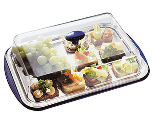 Блюдо охлаждаемое с крышкой APS 09090 (прямоугольное)