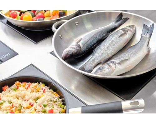 Индукционная плита Abat КИП-49П-3,5-01