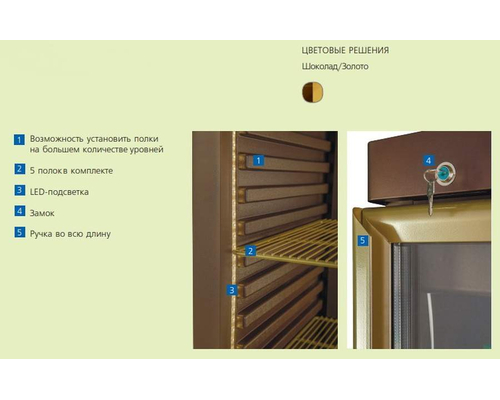 Холодильный шкаф Полюс для напитков R560Св Carboma