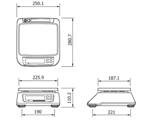 Электронные порционные весы CAS SWN-6 (платформа 226х187 мм)