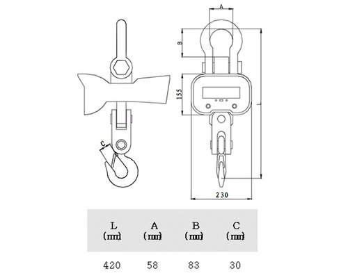 Крановые весы CAS (Caston I) 5 THA