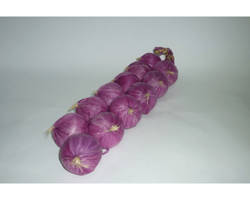 Муляжи "Связка лука"