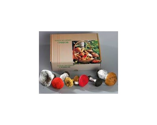 Набор муляжей грибов