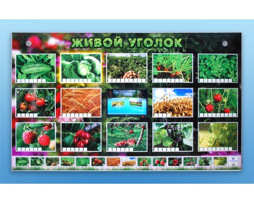 Комплект оборудования "Живой уголок" (растения)