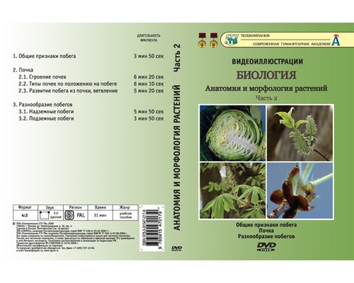 Анатомия и морфология растений (4 части) (Видеодемонстрации)