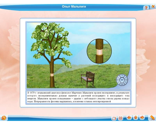 Биология: растения, грибы, бактерии, 6 класс для Windows