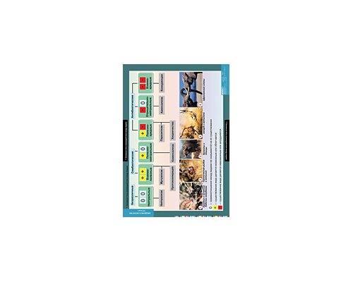 БИОЛОГИЯ Введение в Экологию