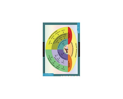 БИОЛОГИЯ Введение в Экологию