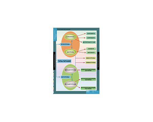 БИОЛОГИЯ Введение в Экологию