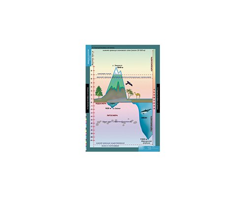 БИОЛОГИЯ Введение в Экологию