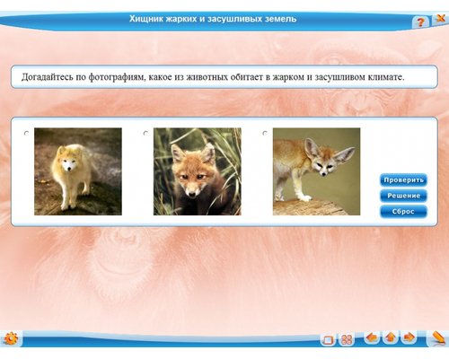 Биология: животные, 7 класс для Windows