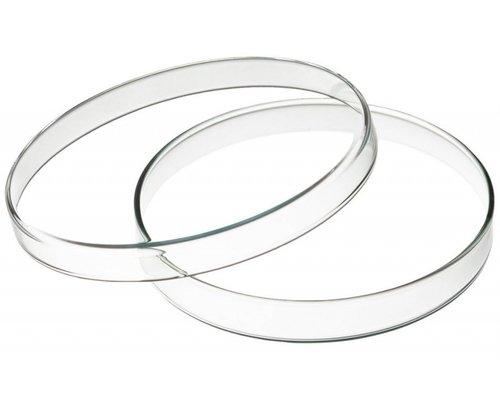 Чашка Петри 100х20