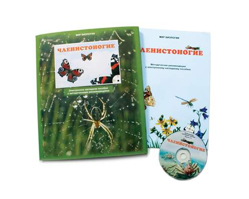 Членистоногие