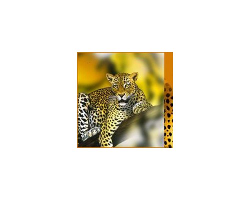 Цифровая база изображений. Зоология