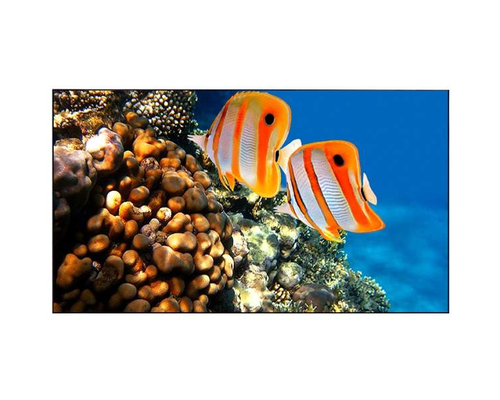 Дисплей для видеостен Eliteboard BB555FFBED