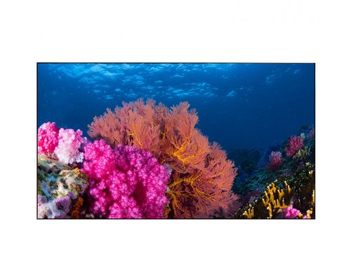 Дисплей для видеостен Eliteboard BK555FCBE