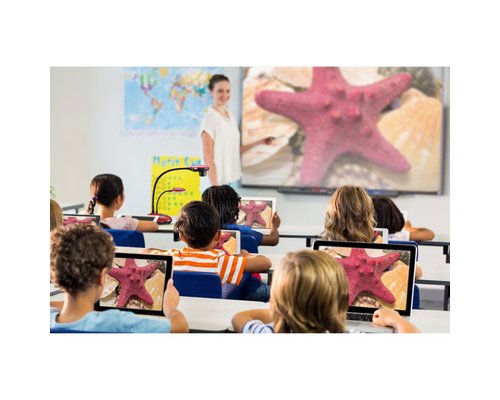 Документ-камера Lumens DC193