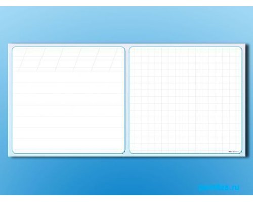 Доска аудиторная магнитно-маркерная (клетка, линейка, косая линейка)