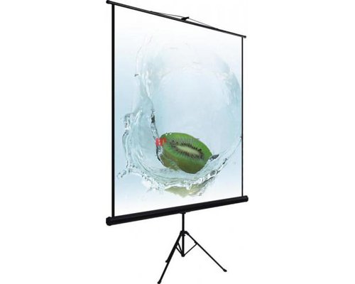 Экран настенный рулонный  на треноге