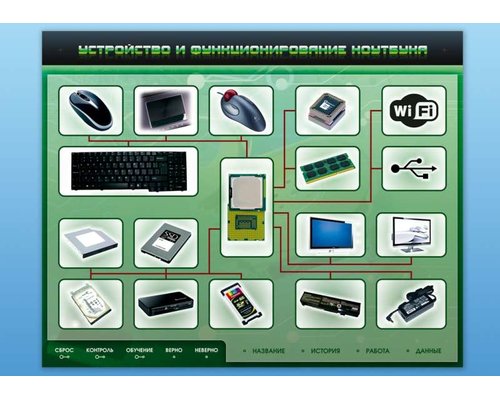 Электрифицированный информационный стенд-тренажер "Устройство и функционирование ноутбука" с функцией контроля и обучения