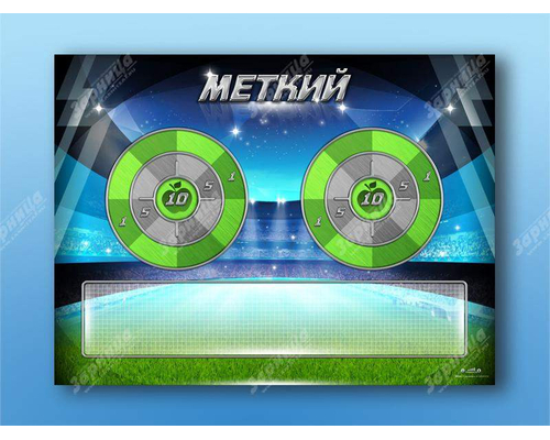 Электрифицированный координационно-развивающий спортивный комплекс "Меткий"