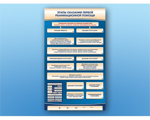 Электрифицированный стенд-тренажер "Этапы оказания первой помощи"