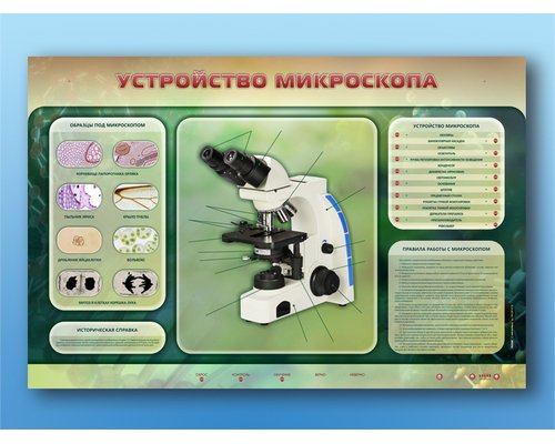Электрифицированный стенд "Устройство микроскопа и правила работы c ним"
