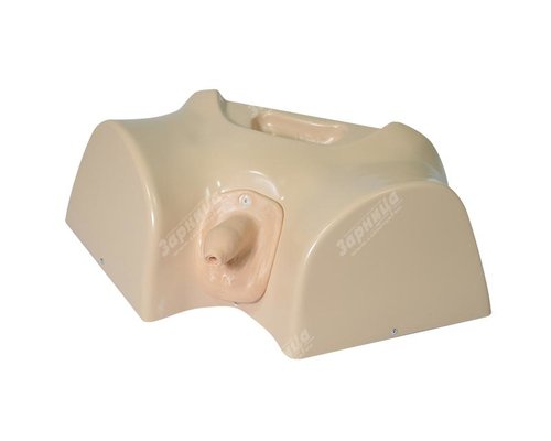 Фантом мужской промежности для катетеризации