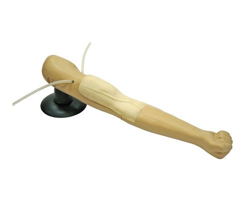 Фантом  руки  (для  отработки  навыков  внутривенных  инъекций)