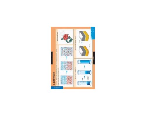 ФИЗИКА 7 класс