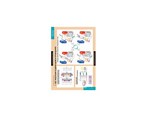 ФИЗИКА. Электромагнетизм