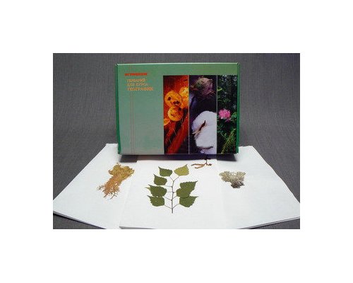 Гербарий для курса географии