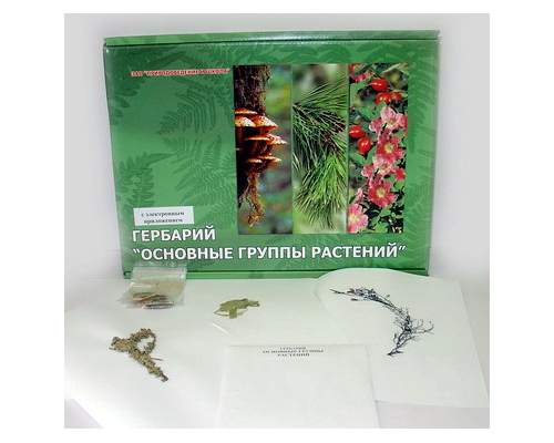 Гербарий "Основные группы растений" (52 листа) формат А-4