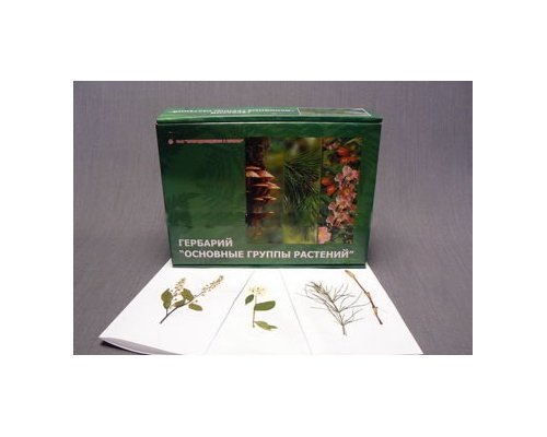 Гербарий "Основные группы растений" (52 листа)